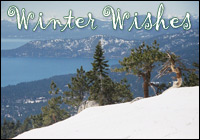 Winter Wishes Photo